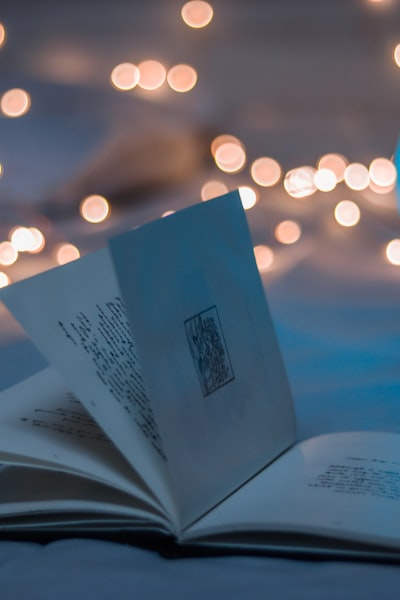 浪漫爱情剧《冬日暖阳》海报，男女主角在雪中相拥